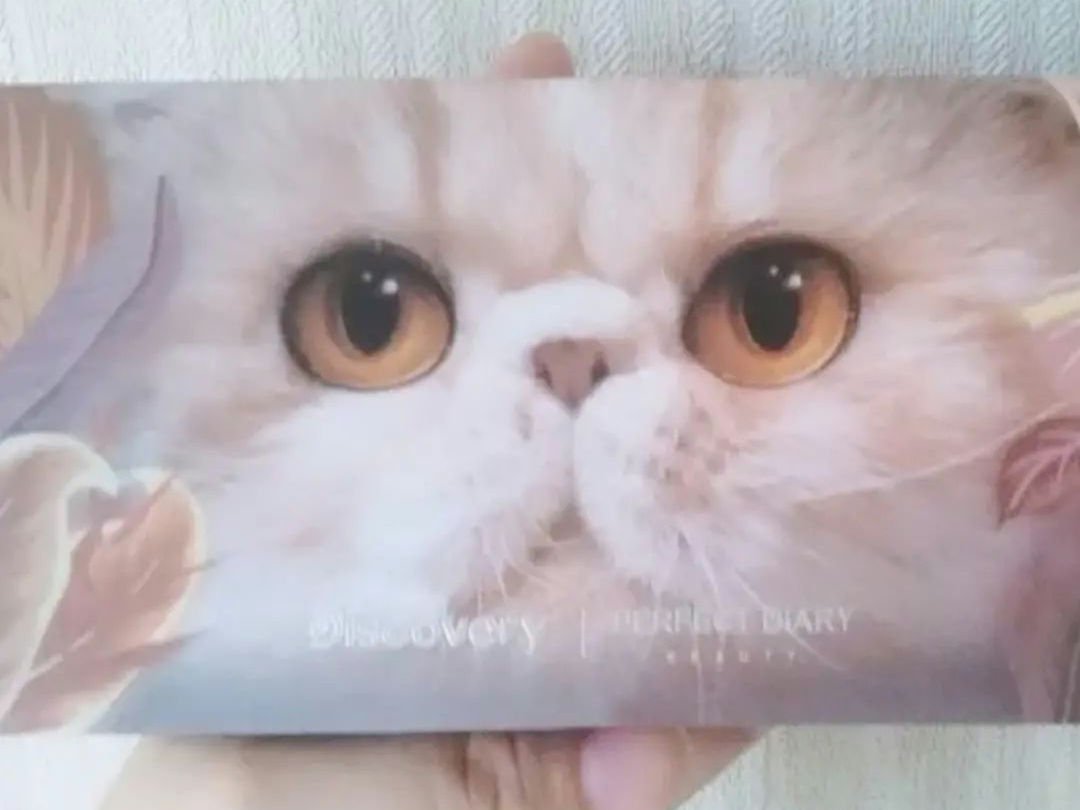 STペンシルアイライナー/キャンドゥ/ペンシルアイライナーを使ったクチコミ（1枚目）