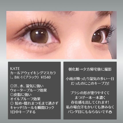 ケイト カールアウェイキングマスカラ/KATE/マスカラを使ったクチコミ(2枚目)