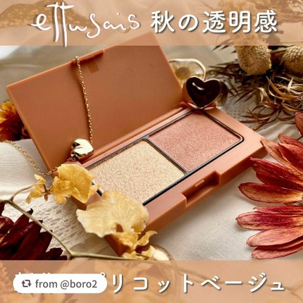 エテュセ アイエディション(カラーパレット)/ettusais/アイシャドウパレットを使ったクチコミ(1枚目)