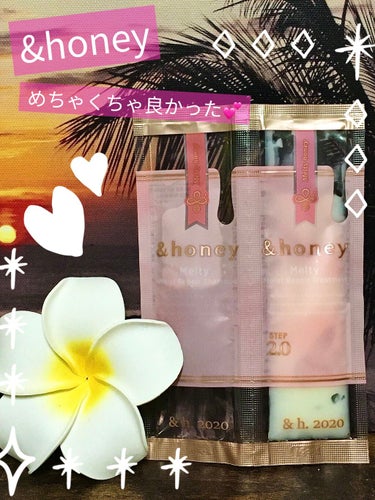 &honey Melty モイストリペア シャンプー1.0／モイストリペア ヘアトリートメント2.0/&honey/シャンプー・コンディショナーを使ったクチコミ（1枚目）