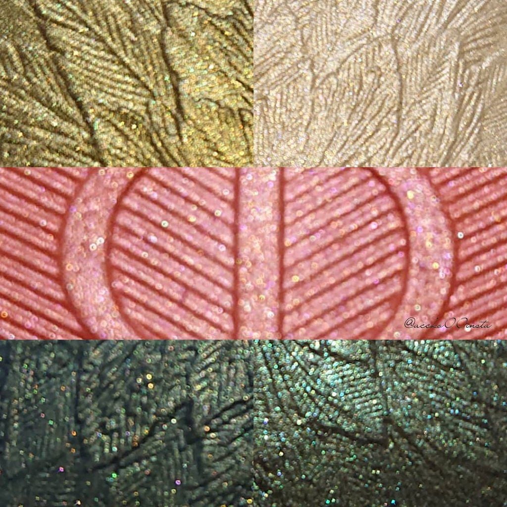 サンク クルール クチュール<バーズ オブ ア フェザー>/Dior/アイシャドウパレットを使ったクチコミ(4枚目)