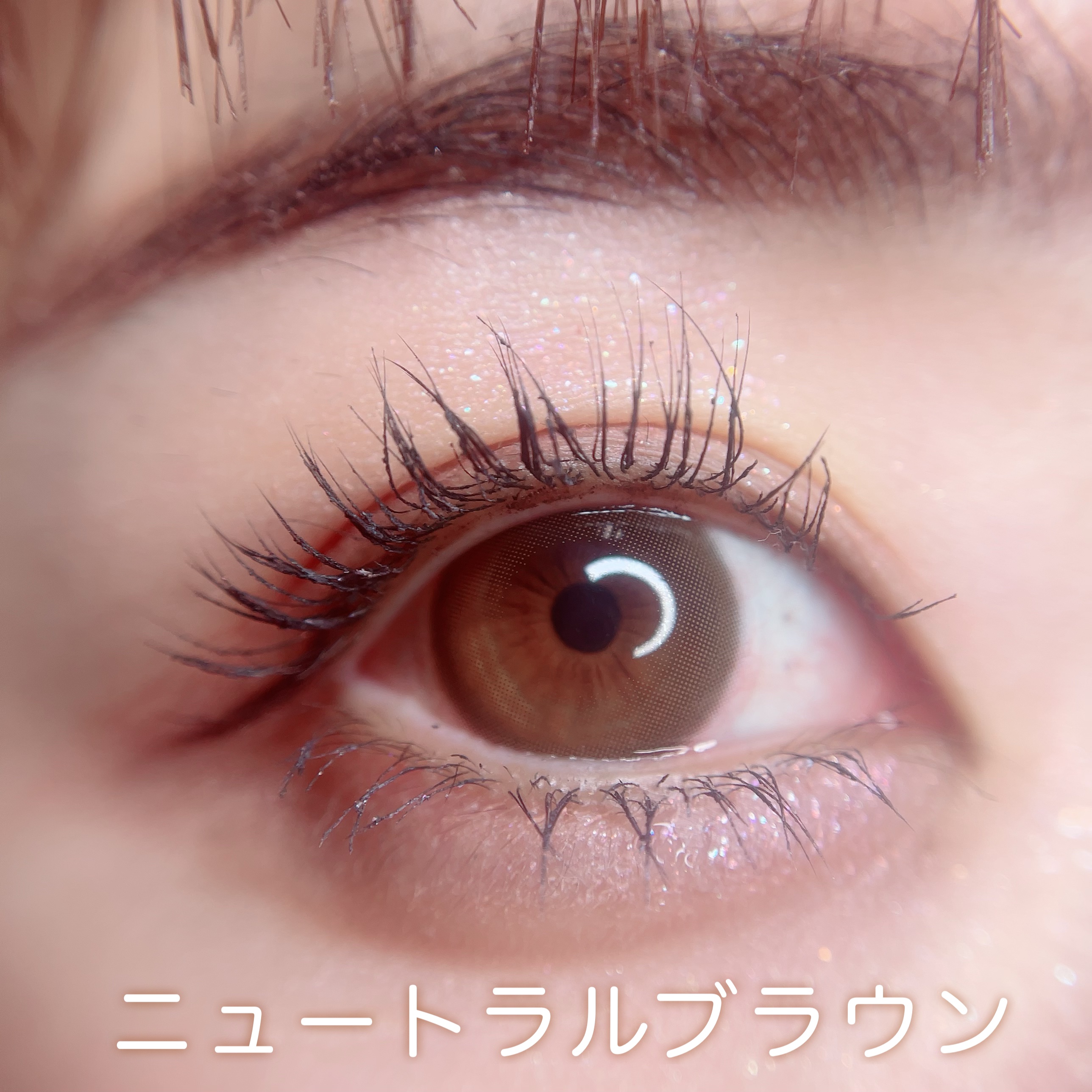 フェアリー ワンデー ニュートラルシリーズ/FAIRY/ワンデー（１DAY）カラコンを使ったクチコミ（2枚目）