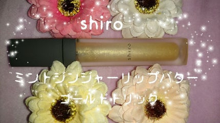 ミントジンジャーリップバター/SHIRO/リップグロスを使ったクチコミ(1枚目)