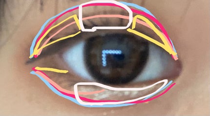 シャドーカスタマイズ/MAJOLICA MAJORCA/単色アイシャドウを使ったクチコミ(5枚目)