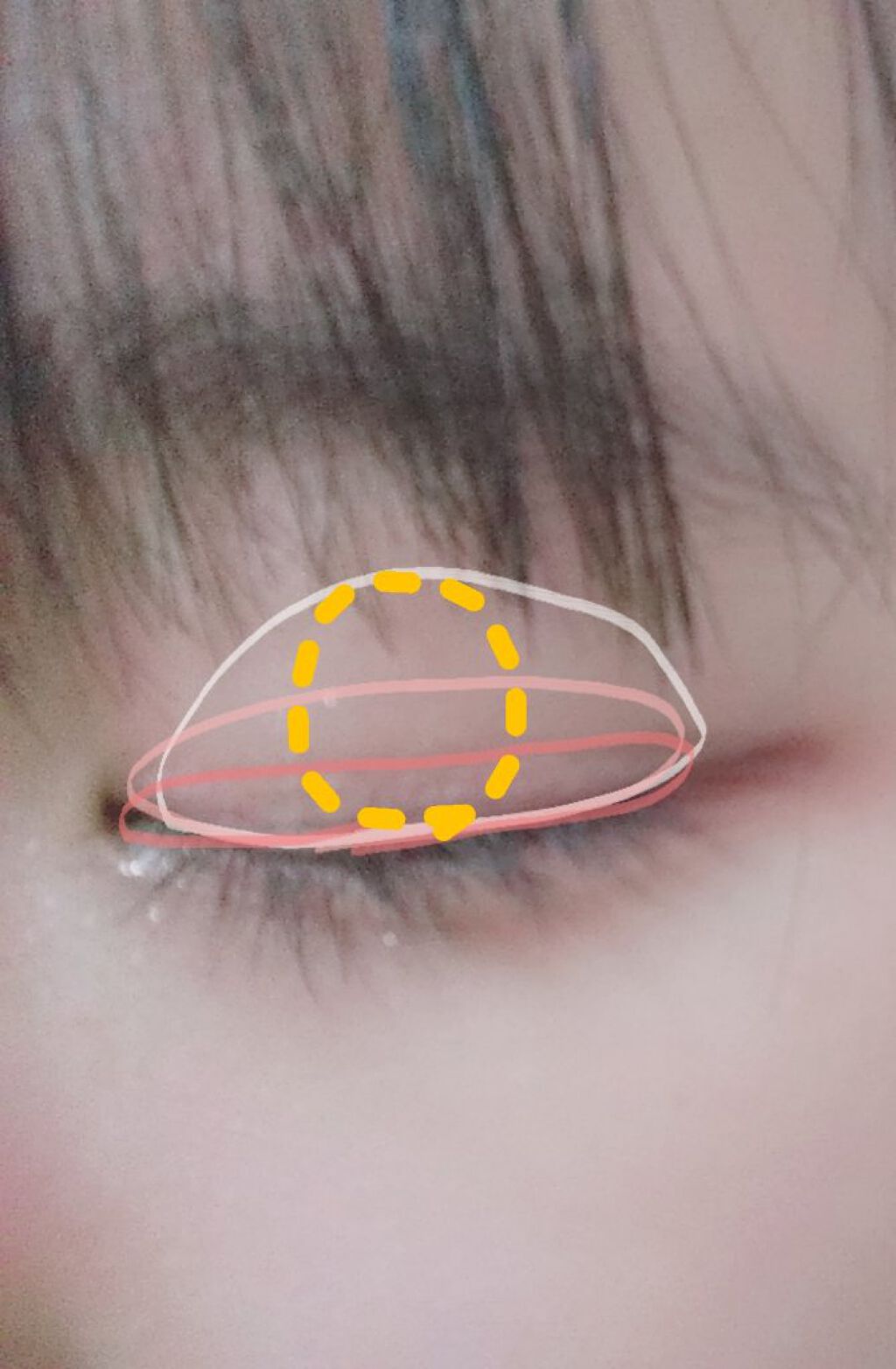 プロ アイ パレット/CLIO/アイシャドウパレットを使ったクチコミ（3枚目）