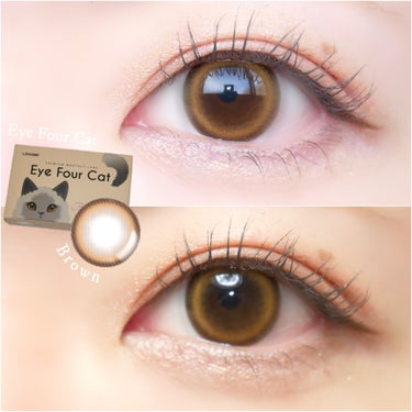 

LENSME
Eye Four Cat
Brown



━━━━━━━ ∙ʚ♡ɞ∙ ━━━━━━━


（ spec ）

　・DIA 14.2mm
　・着色直径 13.6mm
　・BC 8.6m