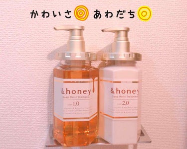 ディープモイスト シャンプー1.0／ヘアトリートメント2.0/&honey/シャンプー・コンディショナーを使ったクチコミ（1枚目）