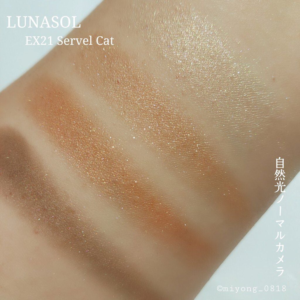 アイカラーレーション/LUNASOL/アイシャドウパレットを使ったクチコミ(5枚目)