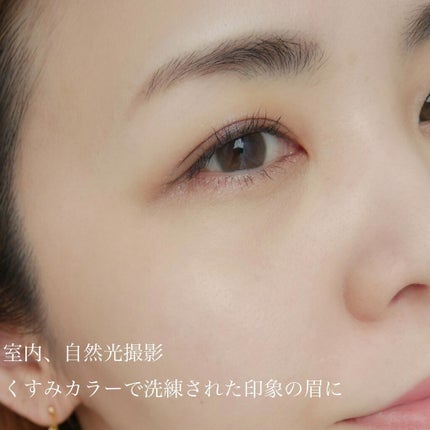 ヴィセ リシェ アイブロウパウダー/Visée/パウダーアイブロウを使ったクチコミ(8枚目)