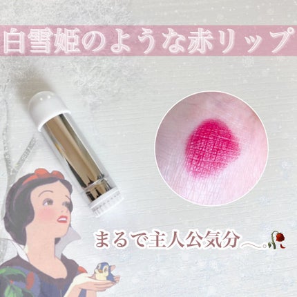 口紅(詰替用)/ちふれ/口紅を使ったクチコミ(1枚目)