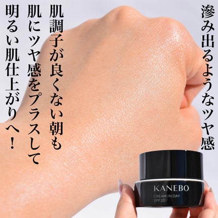 クリーム イン デイ/KANEBO/フェイスクリームを使ったクチコミ(3枚目)
