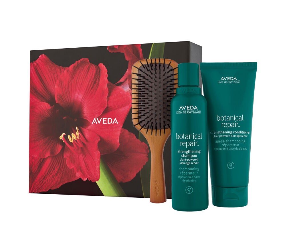 ボタニカル リペア&ミニ パドル ギフト AVEDA