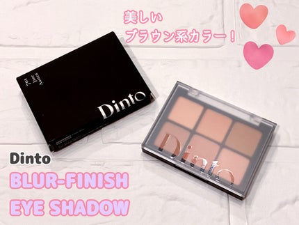 ブラーフィニシュシャドウパレット/Dinto/アイシャドウパレットを使ったクチコミ(1枚目)