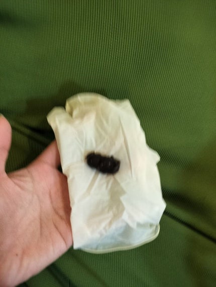 リッチカラートリートメント/roiro/ヘアカラーを使ったクチコミ(2枚目)