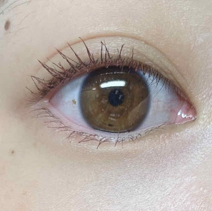 エテュセ アイエディション (マスカラベース)/ettusais/マスカラ下地を使ったクチコミ(3枚目)