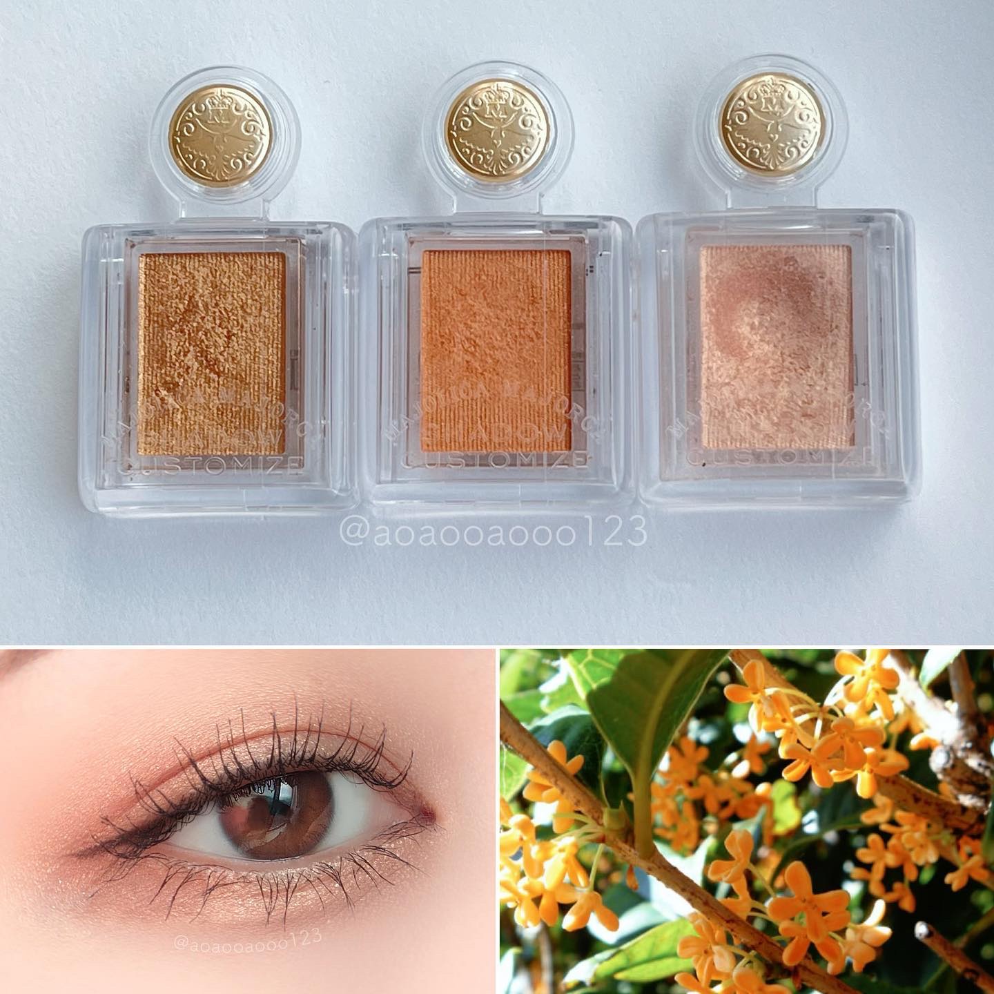 シャドーカスタマイズ/MAJOLICA MAJORCA/単色アイシャドウを使ったクチコミ（1枚目）