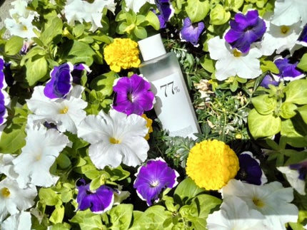 ドクダミ 77 スージングトナー/Anua/化粧水を使ったクチコミ(1枚目)