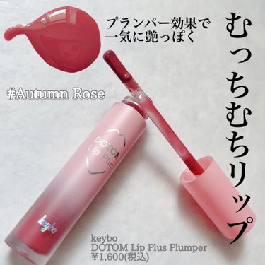 ドトムリッププラスプランパー 07 オータムローズ(AUTUMN ROSE)/keybo/リップグロスを使ったクチコミ（2枚目）