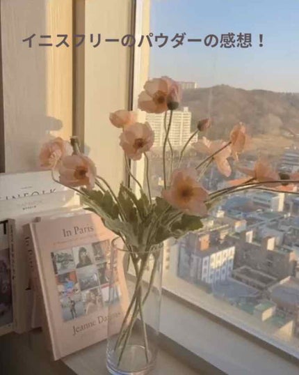 ノーセバム ミネラルパウダー/innisfree/ルースパウダーを使ったクチコミ(1枚目)