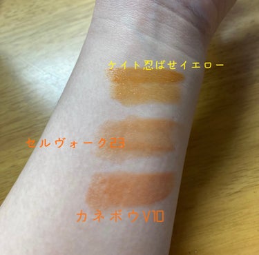 ルージュスターヴァイブラント V10 Golden Amber/KANEBO/口紅を使ったクチコミ（2枚目）