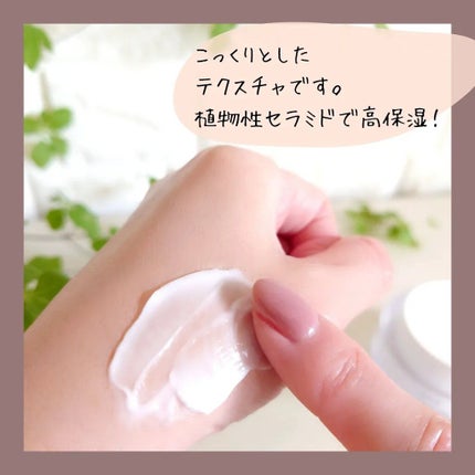 ドクダミ 70 インテンスカーミングクリーム/Anua/フェイスクリームを使ったクチコミ(5枚目)