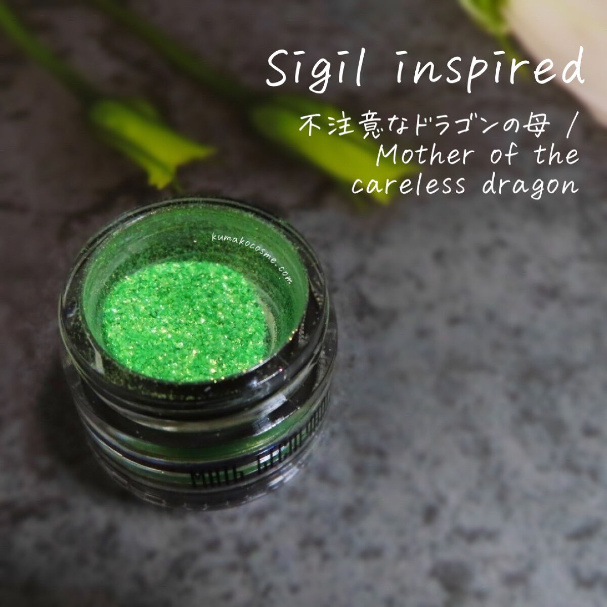 Sigil Inspired Magic Eyeshadows/SIGIL inspired/単色アイシャドウを使ったクチコミ（1枚目）