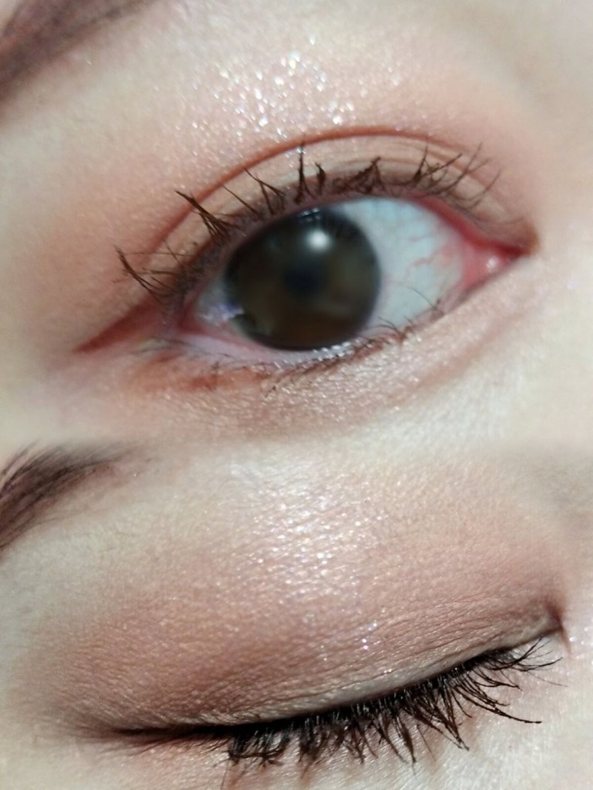 ベージュトーンアイシャドウ/CEZANNE/アイシャドウパレットを使ったクチコミ（3枚目）