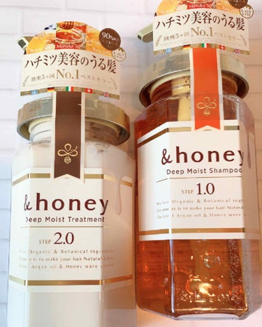 ディープモイスト シャンプー1.0／ヘアトリートメント2.0/&honey/シャンプー・コンディショナーを使ったクチコミ（1枚目）