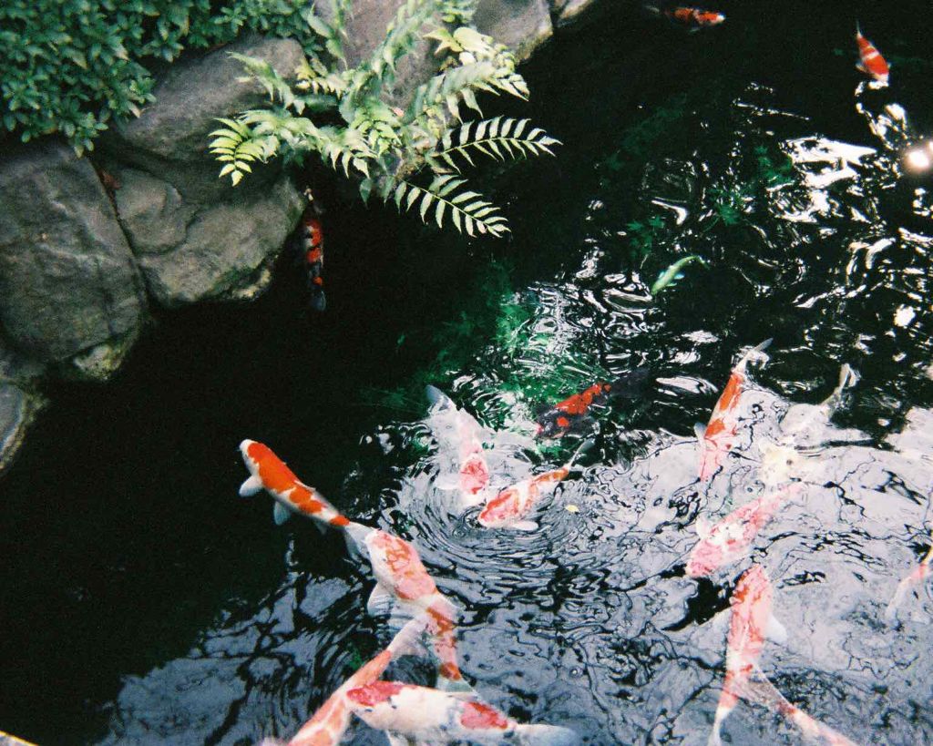 アディクション ザ アイシャドウ/ADDICTION/単色アイシャドウを使ったクチコミ（1枚目）