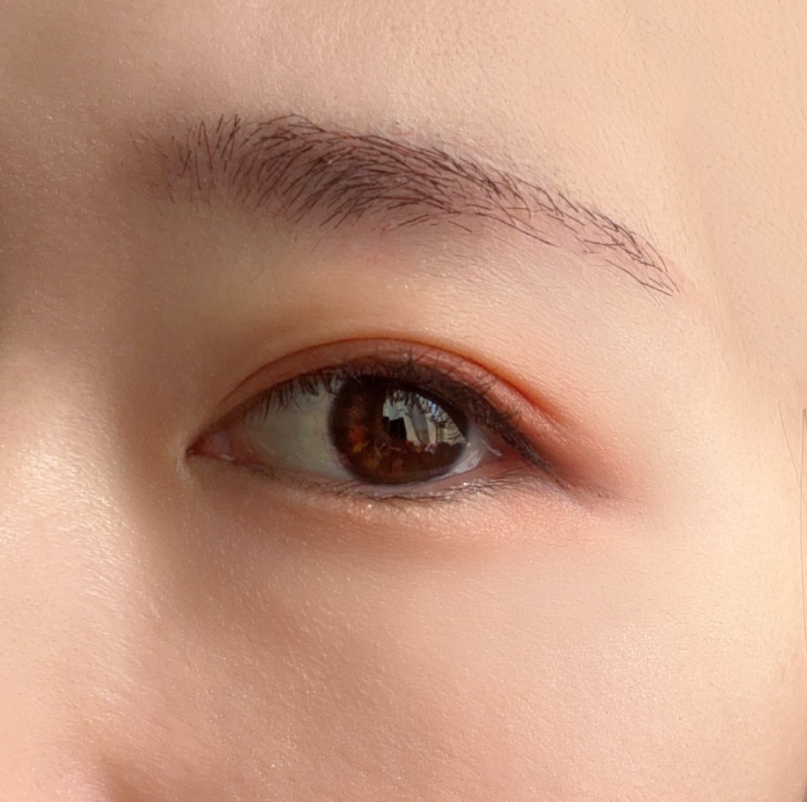 ハンオールブロウカラ/rom&nd/眉マスカラを使ったクチコミ(4枚目)