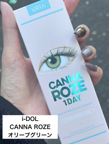 CANNA ROSE DAILY/i-DOL/カラーコンタクトレンズを使ったクチコミ（2枚目）