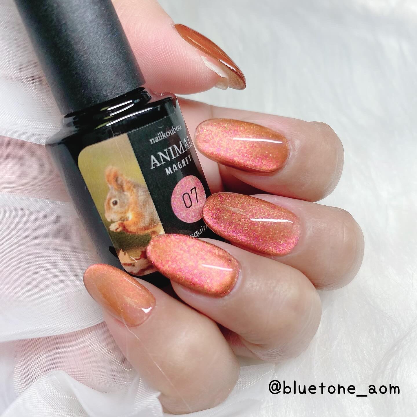 アニマルマグネットジェル/ネイル工房/ジェルネイルを使ったクチコミ（1枚目）
