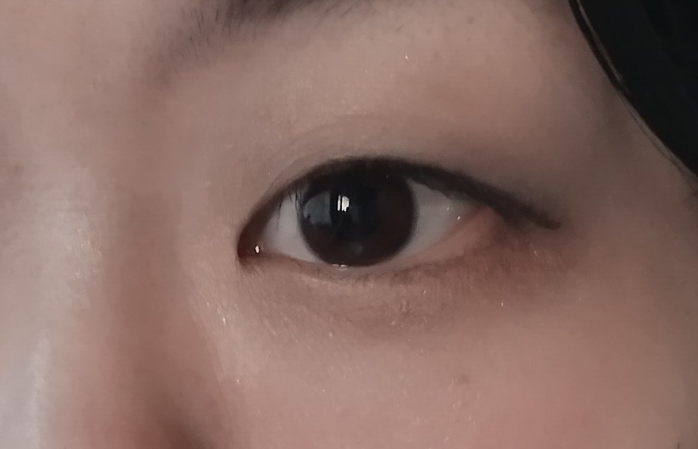 ツイン カラー アイシャドウ 09 ブラック系/ちふれ/アイシャドウパレットを使ったクチコミ（3枚目）