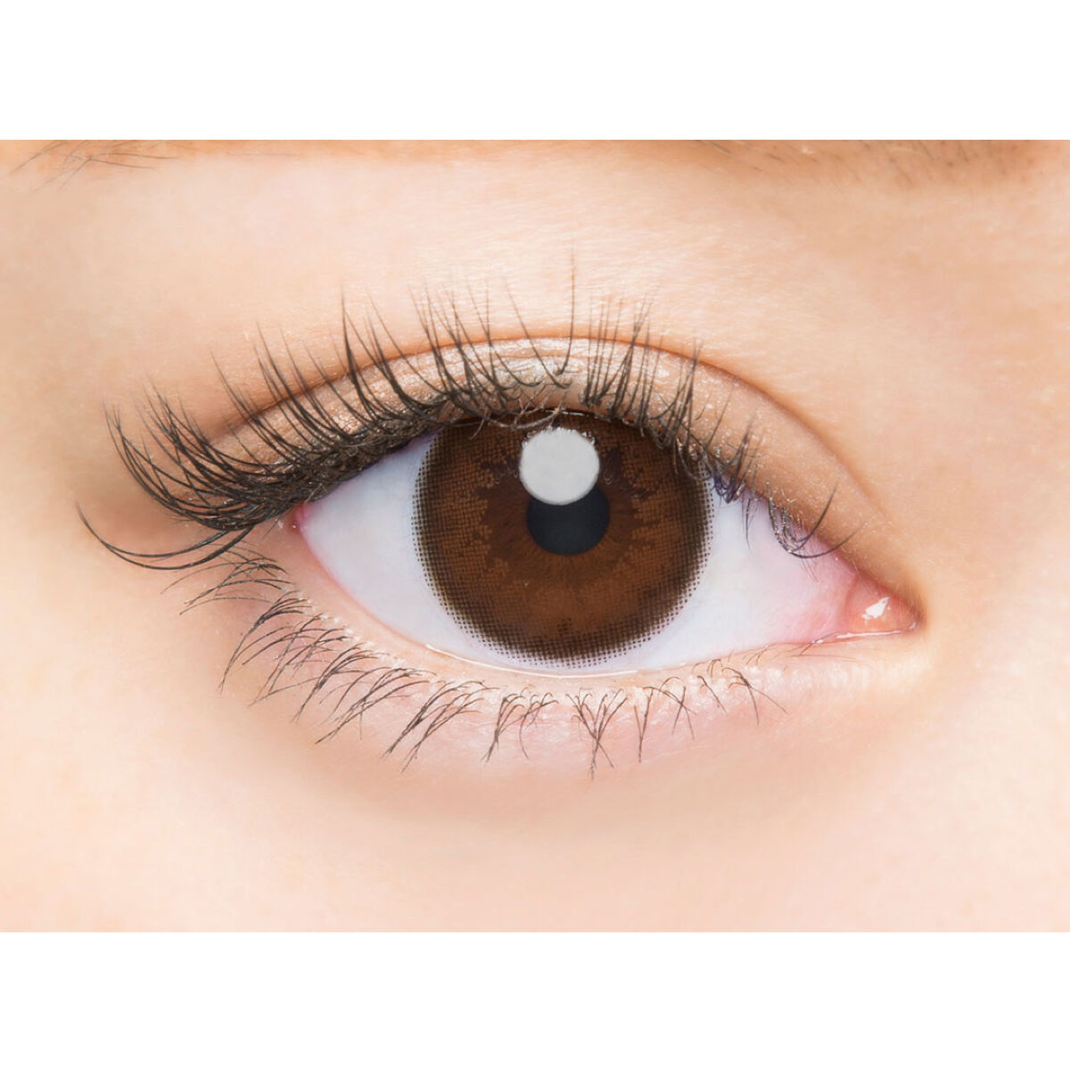 バンビシリーズ ワンデー ナチュラル Natural Nude