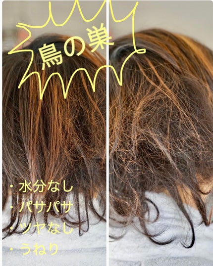 CARE PRO DEEP/CARE PRO/その他ヘアアイロンを使ったクチコミ(4枚目)