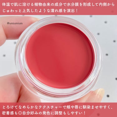 all my things All My Things True Beauty Lip Balm To Cheekのクチコミ「とろけてじゅわっと発色！
リピしたい血色チーク&リップバーム💋💕

all my things.....」（3枚目）
