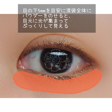 マルチブルーミングアイズ/K-パレット/スティックアイシャドウを使ったクチコミ(6枚目)