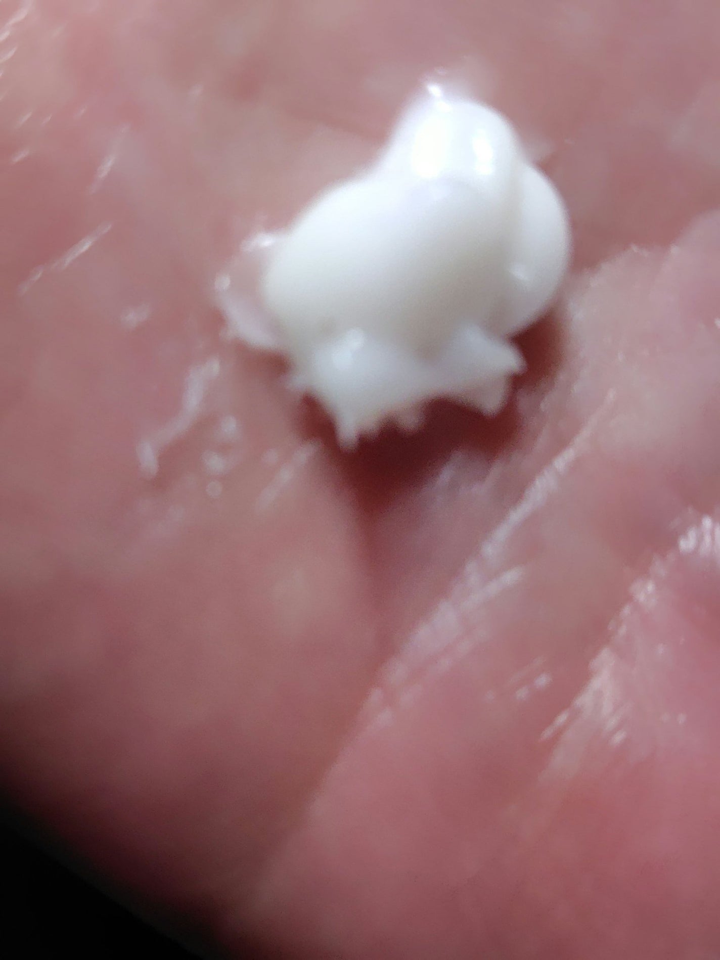 アンフィネス ダーマ インパクト クリーム/ALBION/フェイスクリームを使ったクチコミ(3枚目)