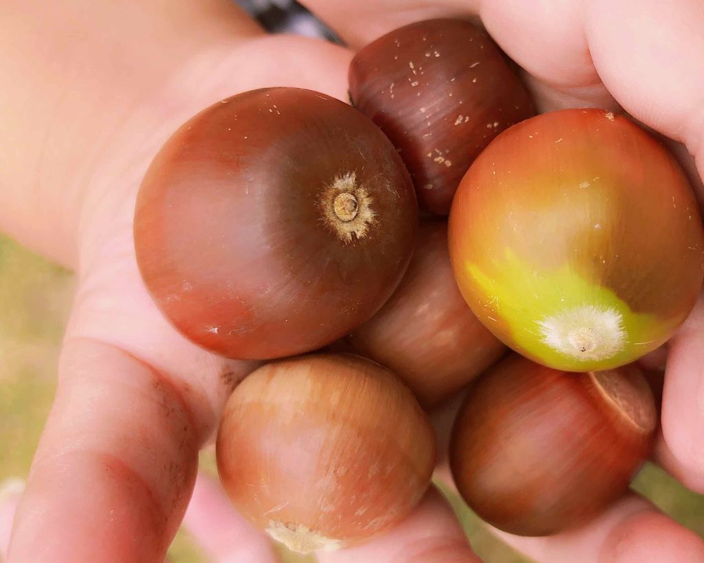 ネイルシール/セリア/ネイルシールを使ったクチコミ(3枚目)