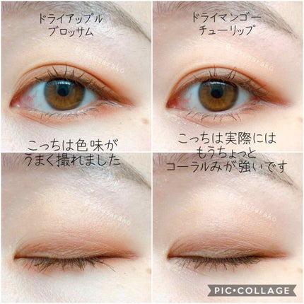 ベターザンアイズ/rom&nd/アイシャドウパレットを使ったクチコミ(4枚目)