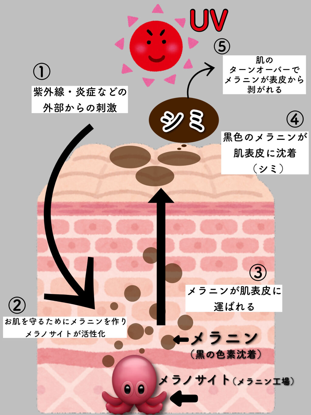 を使ったクチコミ（2枚目）