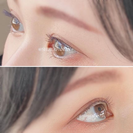 エテュセ アイエディション(マスカラ) G グロッシータイプ グロッシータイプ G01 ダスティパープル/ettusais/マスカラを使ったクチコミ(3枚目)