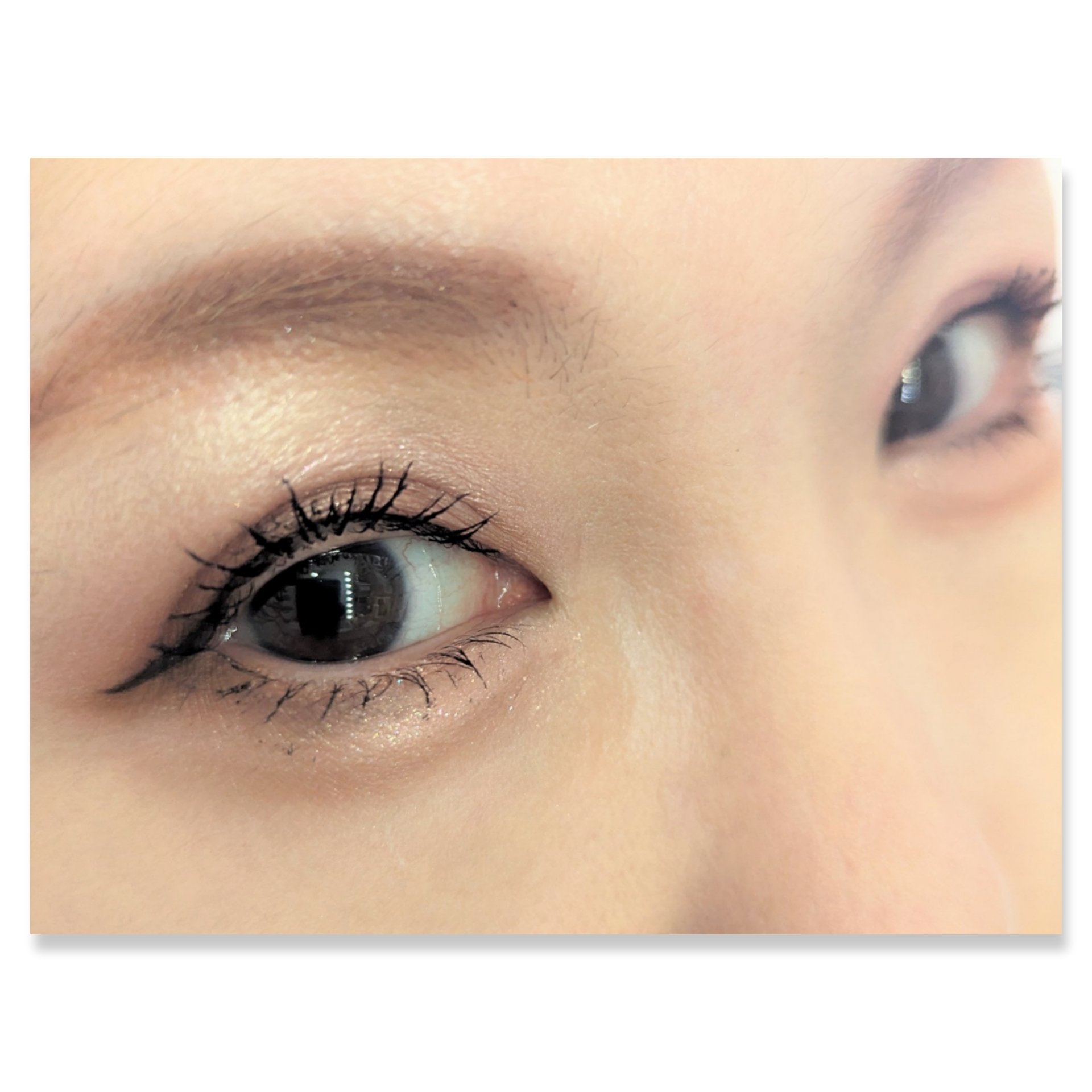 エレガンス ヌーヴェル アイズ 29/Elégance/アイシャドウパレットを使ったクチコミ（2枚目）