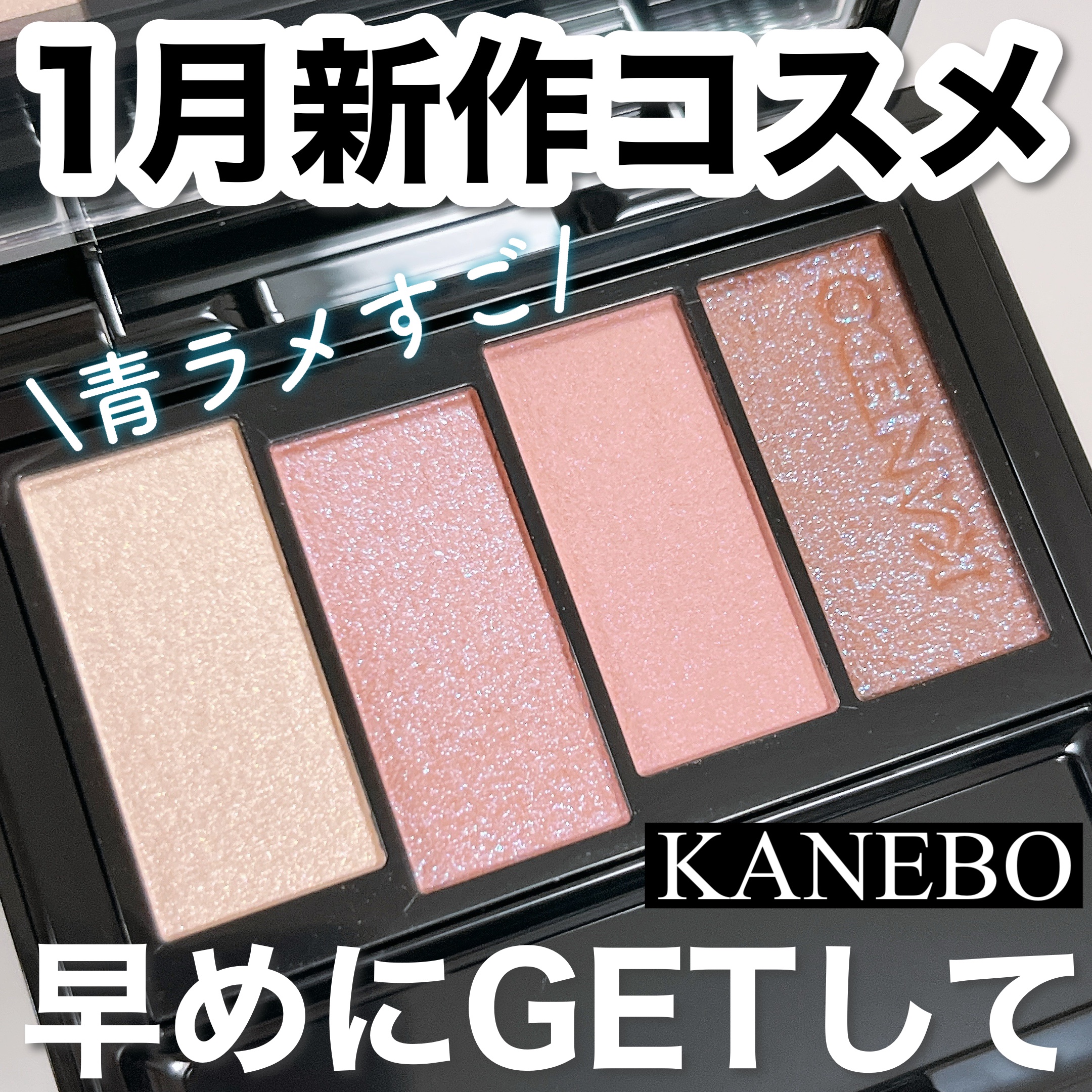 カラードシャドウ/KANEBO/アイシャドウパレットを使ったクチコミ（1枚目）