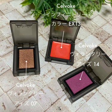 セルヴォーク ヴォランタリー アイズ 14 オーキッドパープル/Celvoke/シングルアイシャドウを使ったクチコミ（1枚目）