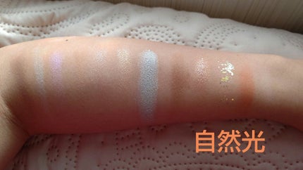 エクスプローラ12色 動物アイシャドウパレット/PERFECT DIARY/アイシャドウパレットを使ったクチコミ(5枚目)