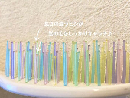 デタングリングブラシミニ/マペペ/ヘアブラシを使ったクチコミ(2枚目)