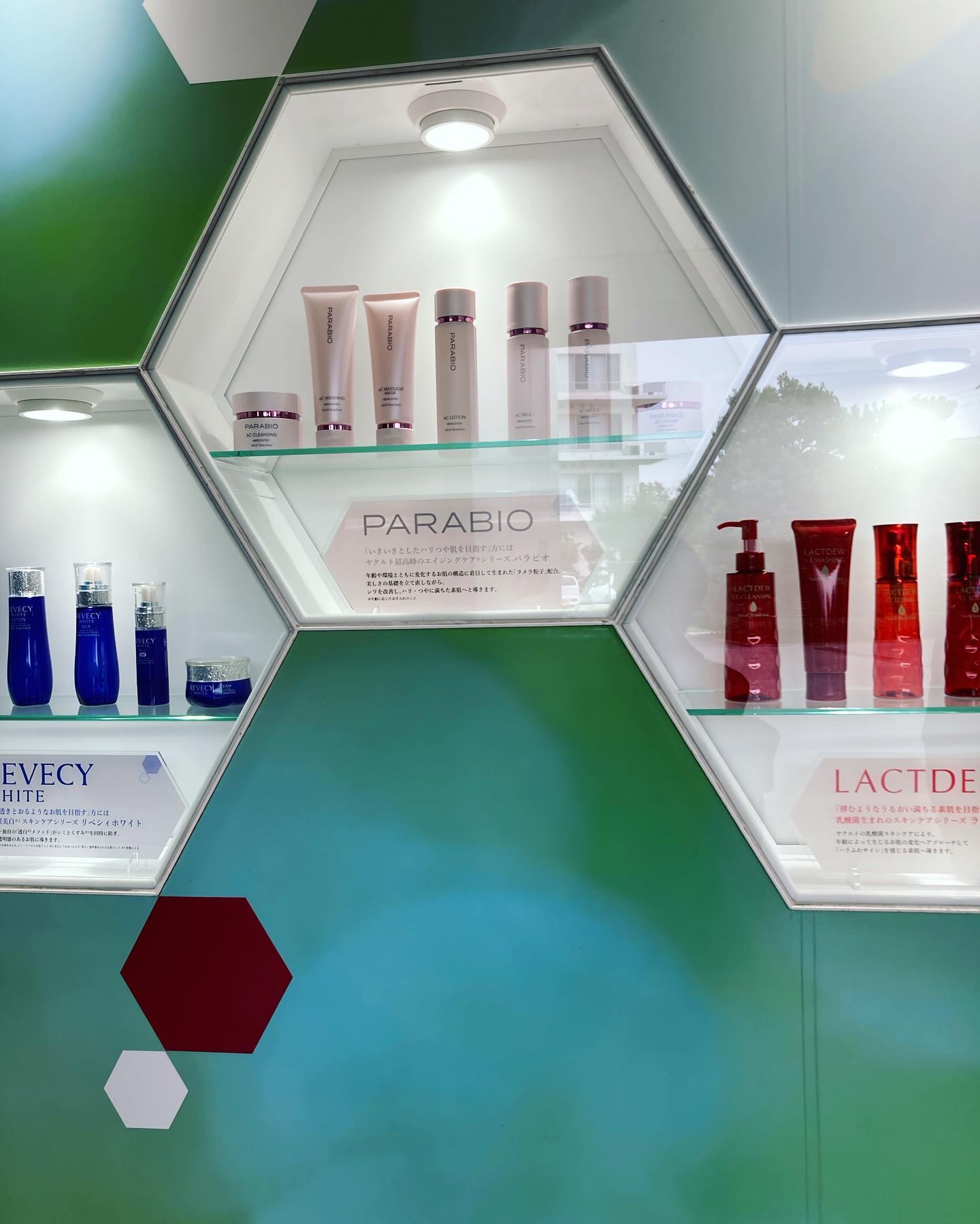 Yakult(ヤクルト)1000 1本/ヤクルト/乳酸菌飲料を使ったクチコミ（2枚目）