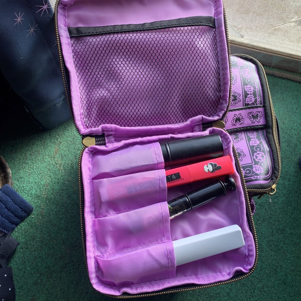 ANNASUI 2020 F/W COLLECTION BOOK VANITY POUCH BEAUTY BEAUTY/宝島社/雑誌を使ったクチコミ（3枚目）