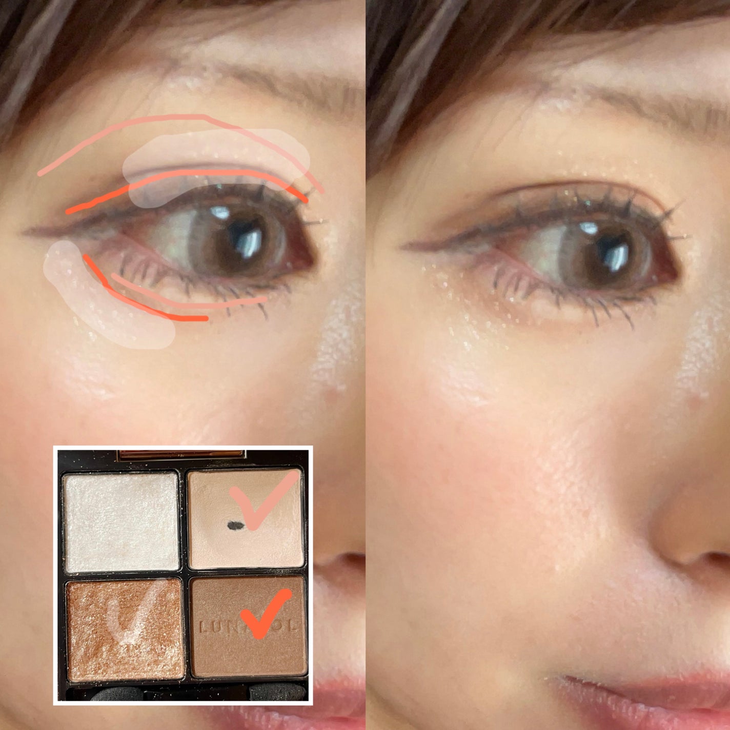 アイカラーレーション/LUNASOL/アイシャドウパレットを使ったクチコミ(2枚目)